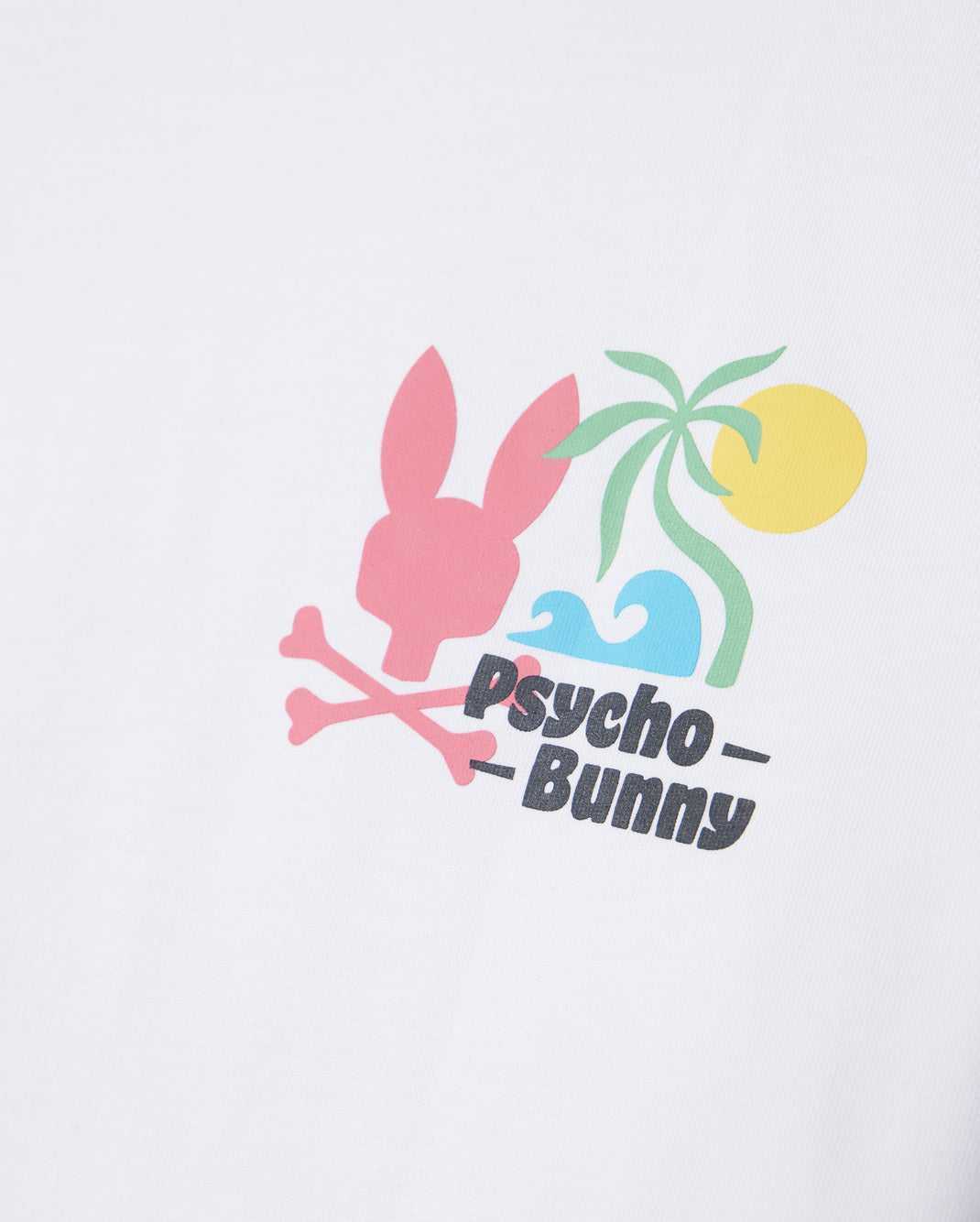 T Shirt Graphique Psycho Bunny Mentz Graphic Tee Blanche Homme | UHU-04248258